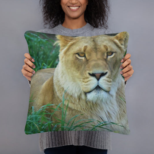 Lioness Pillow