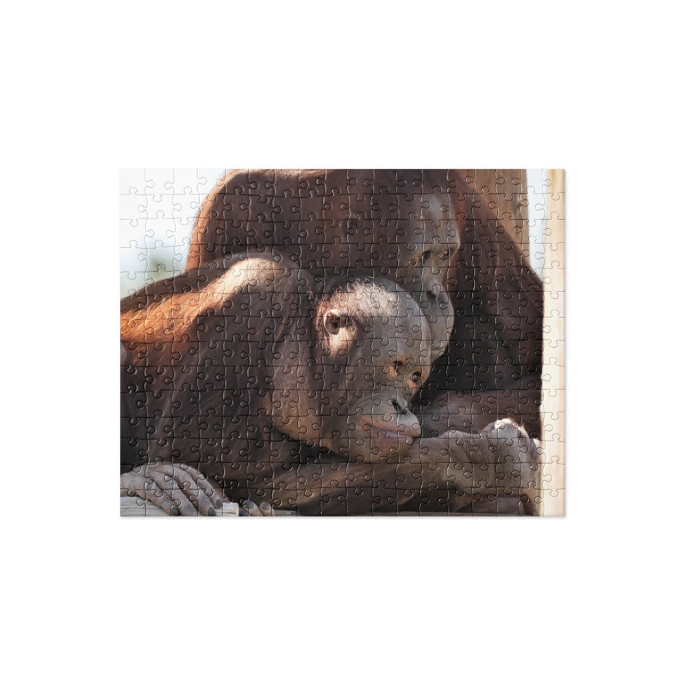 Orangutan Jigsaw puzzle
