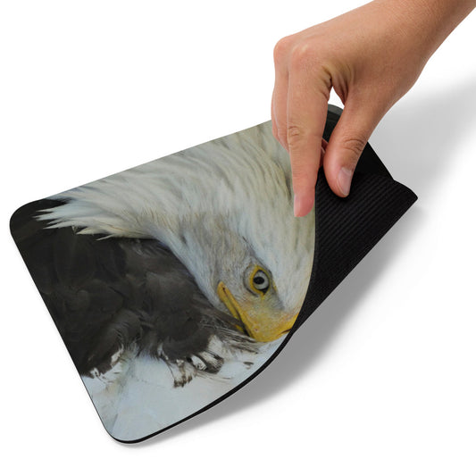 Bald Eagle Mouse pad