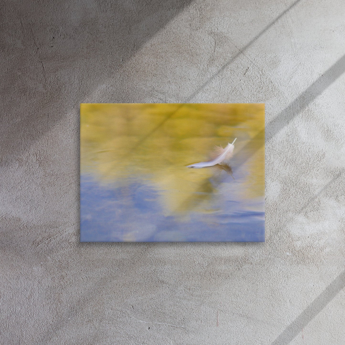 feather canvas