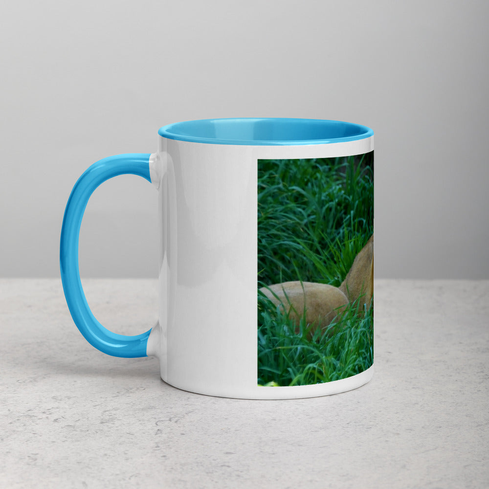 Lioness Mug with Color Inside