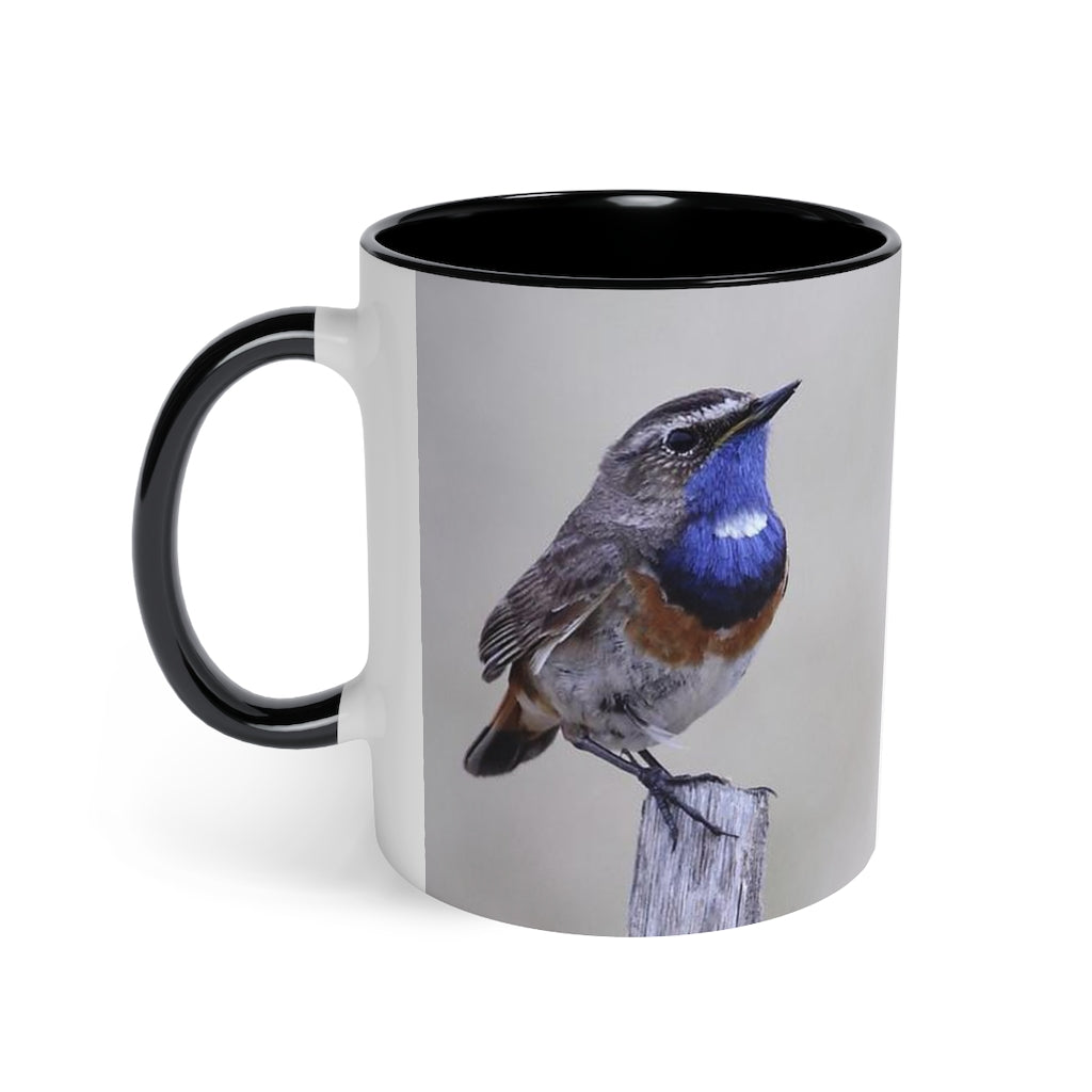 Black Accent Mug