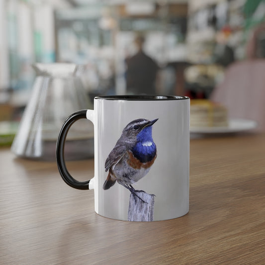 Black Accent Mug