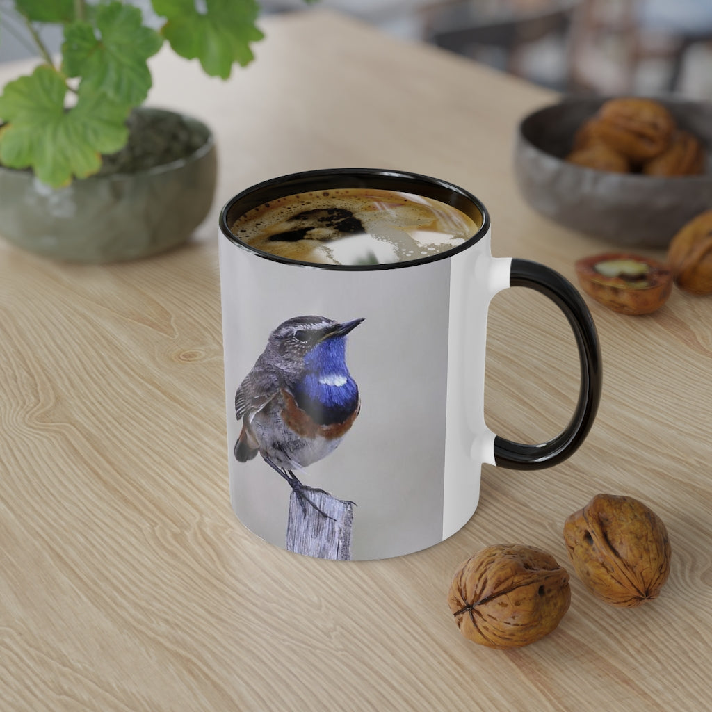 Black Accent Mug
