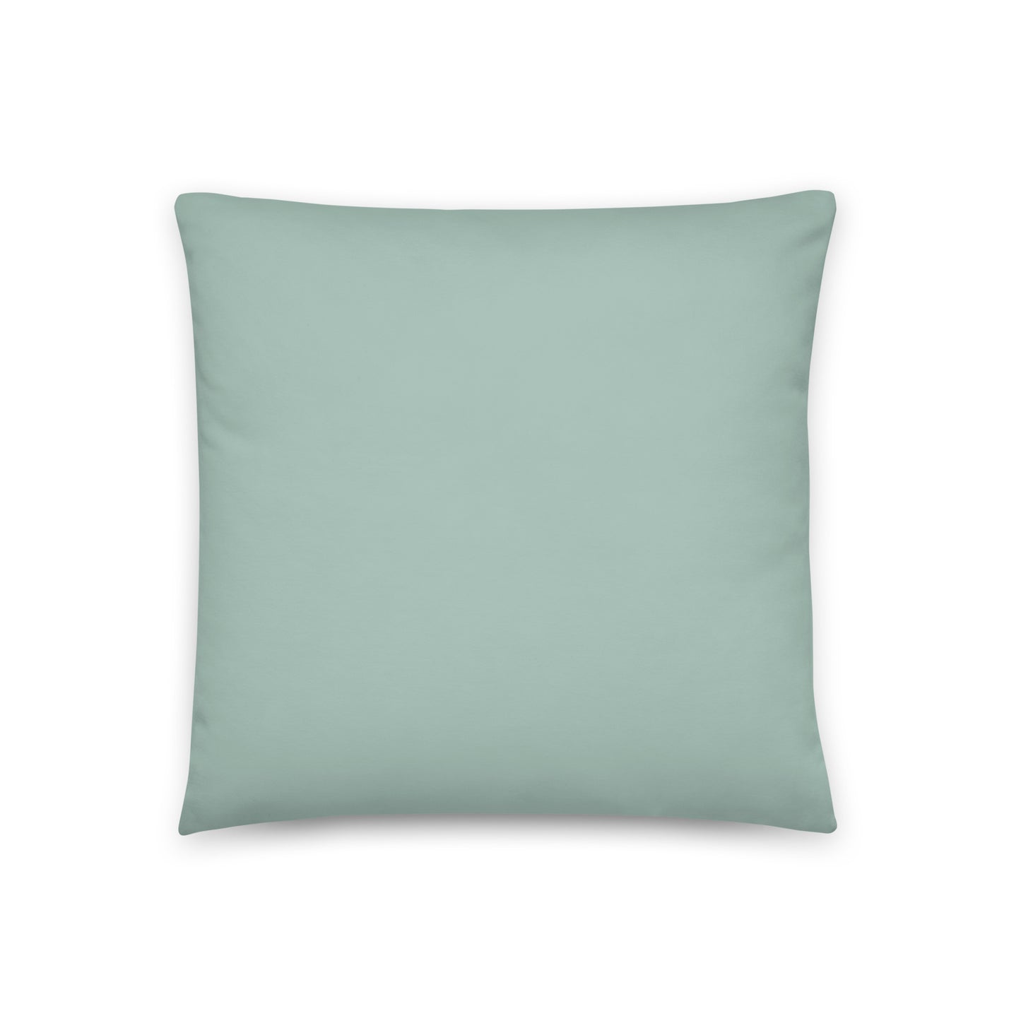 "Endless Search" Pillow