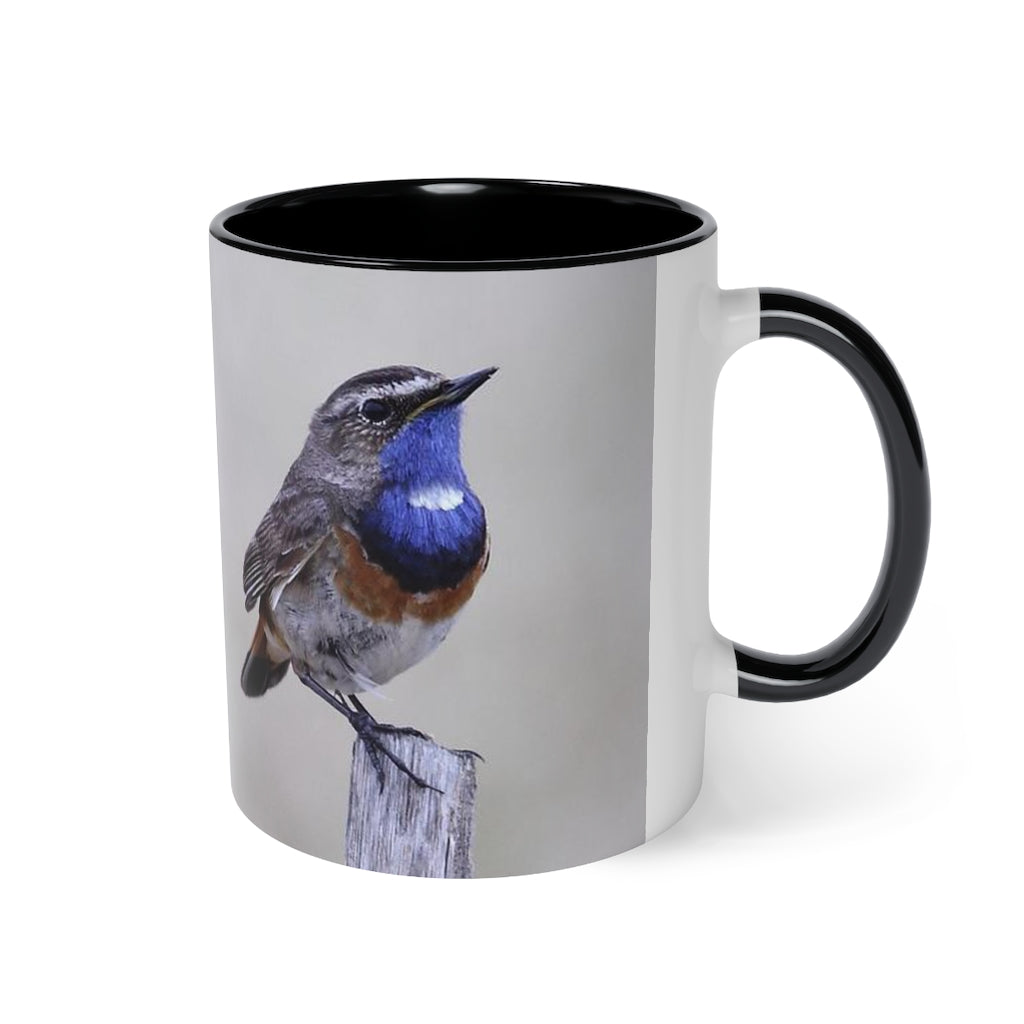 Black Accent Mug