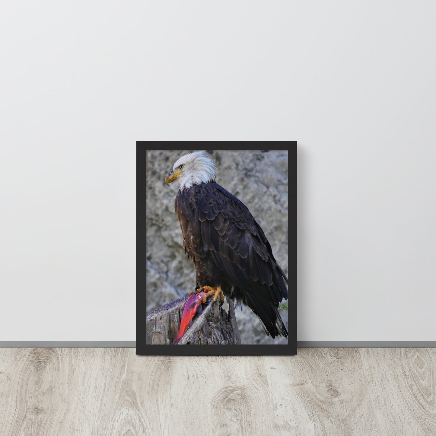 Bald Eagle Framed poster