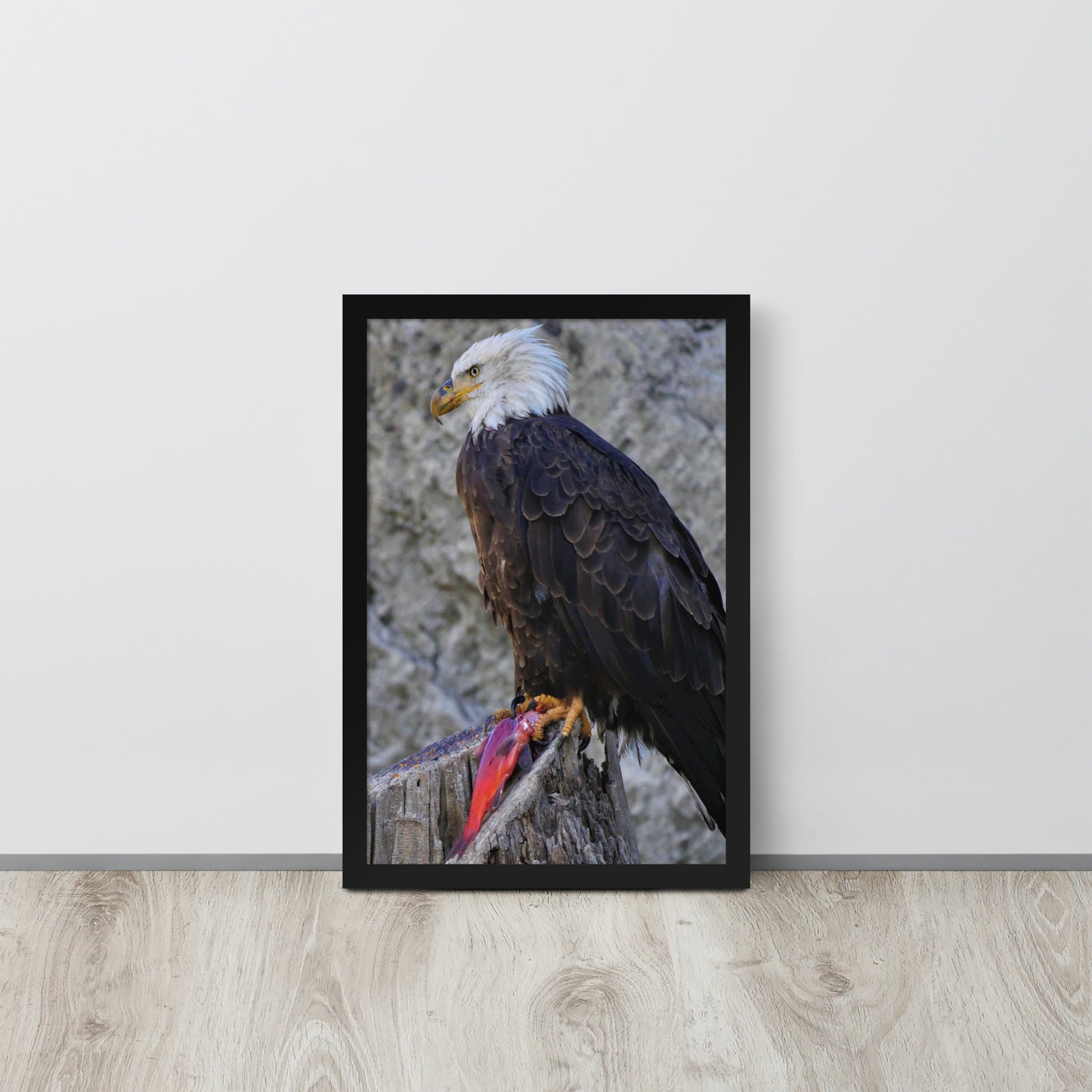 Bald Eagle Framed poster