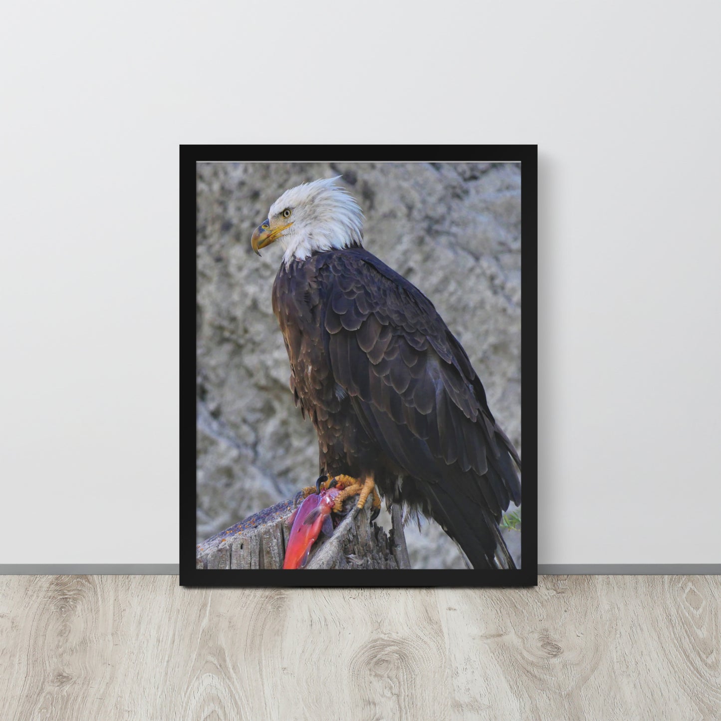 Bald Eagle Framed poster