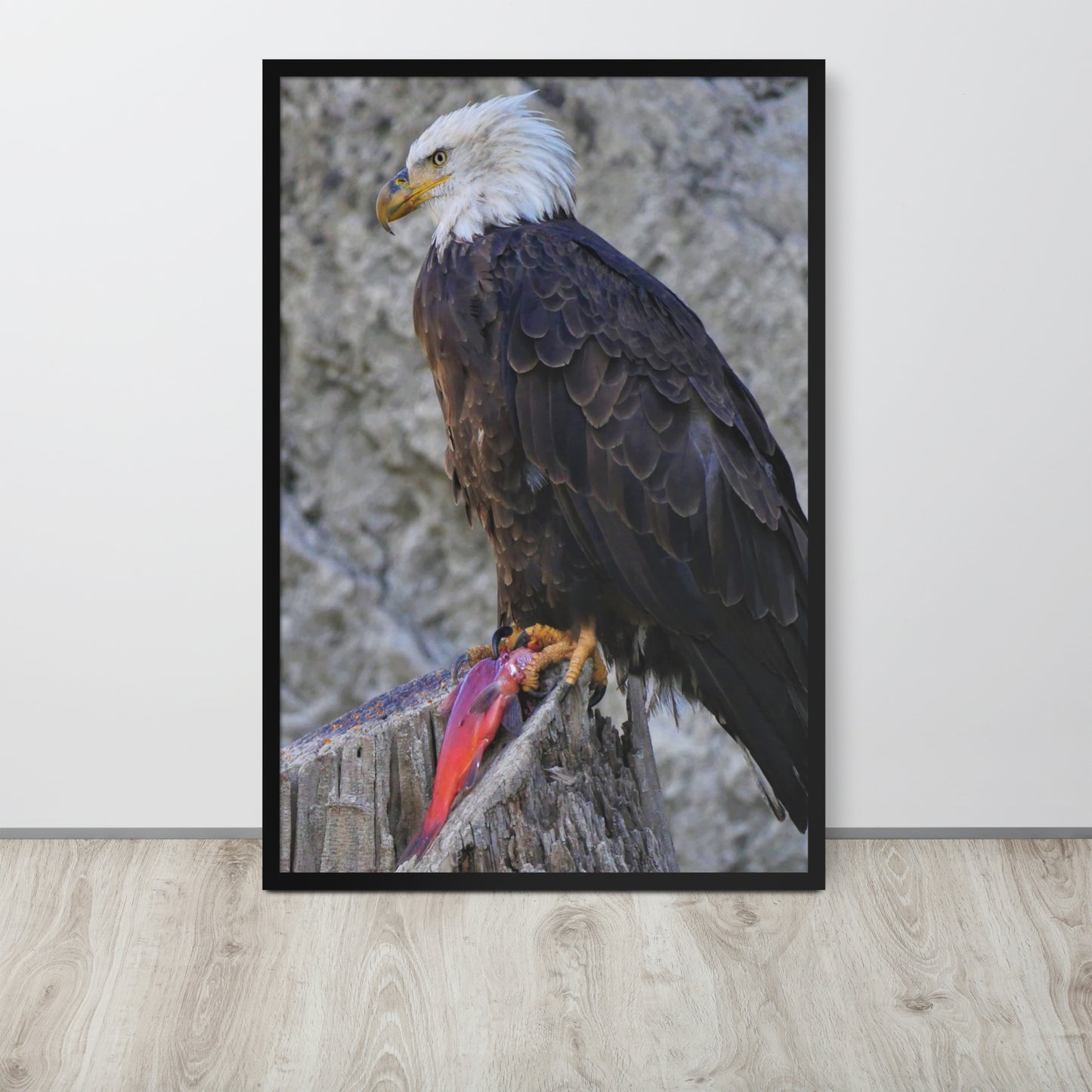 Bald Eagle Framed poster