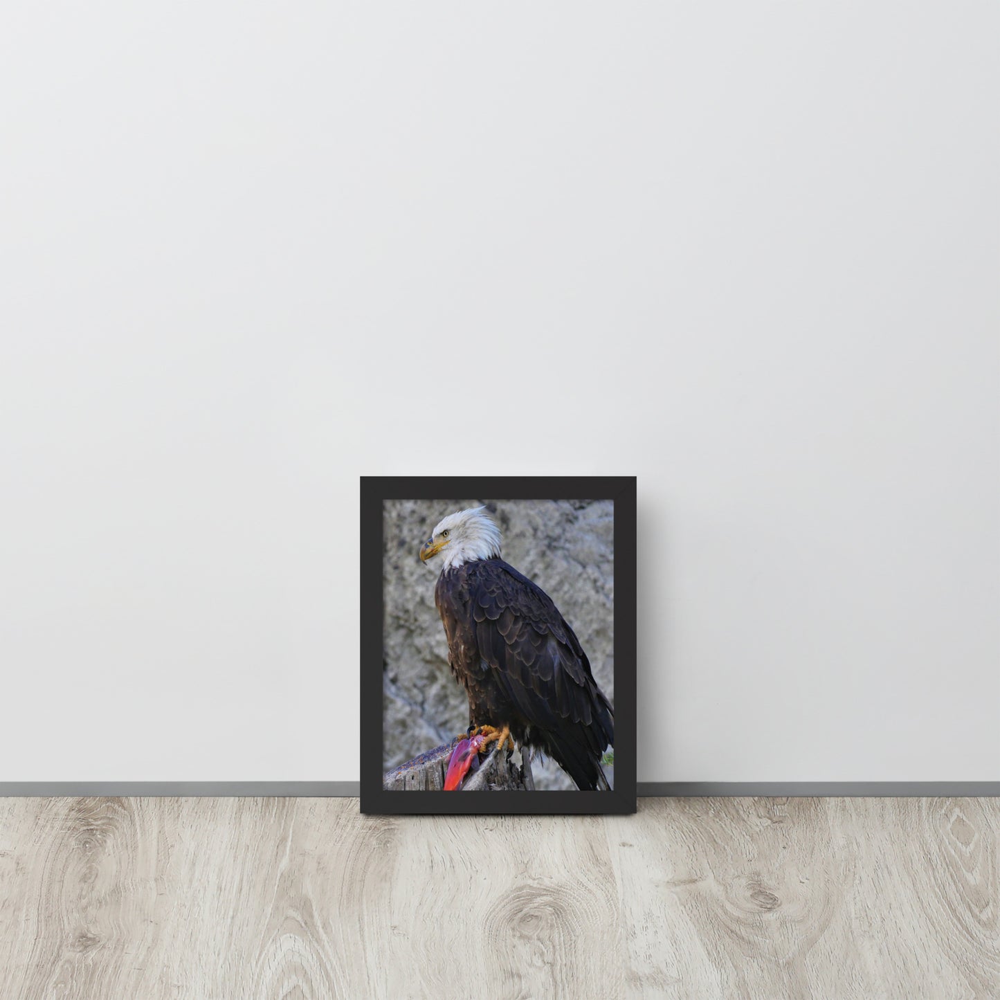 Bald Eagle Framed poster