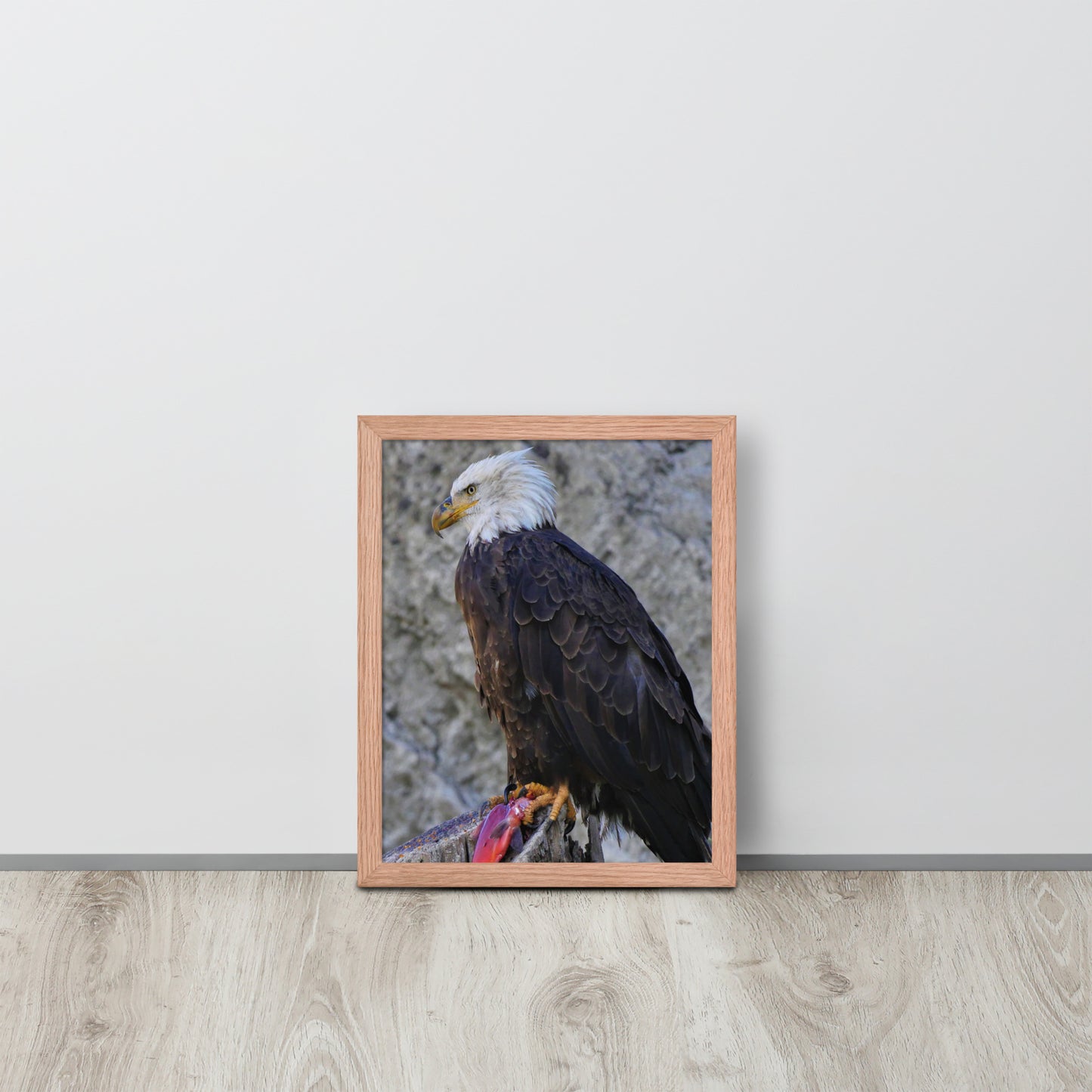 Bald Eagle Framed poster