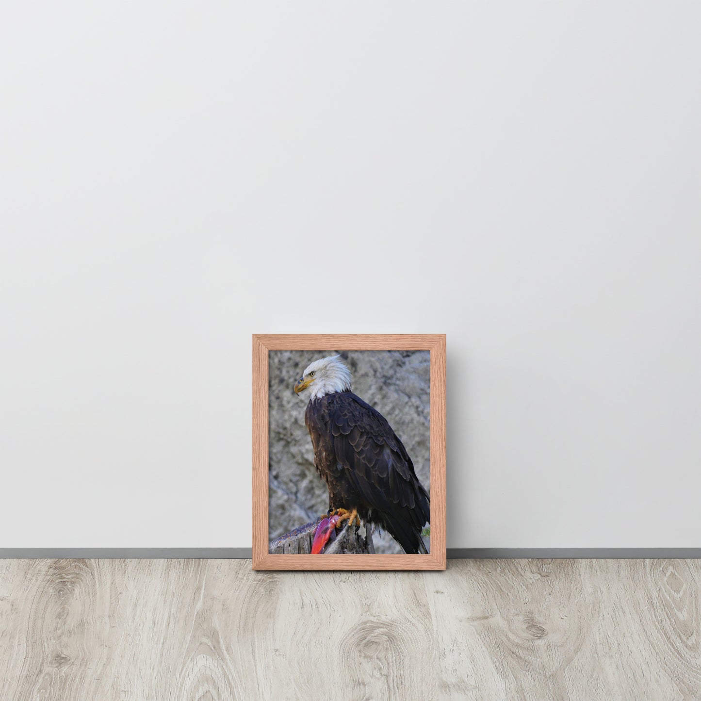 Bald Eagle Framed poster