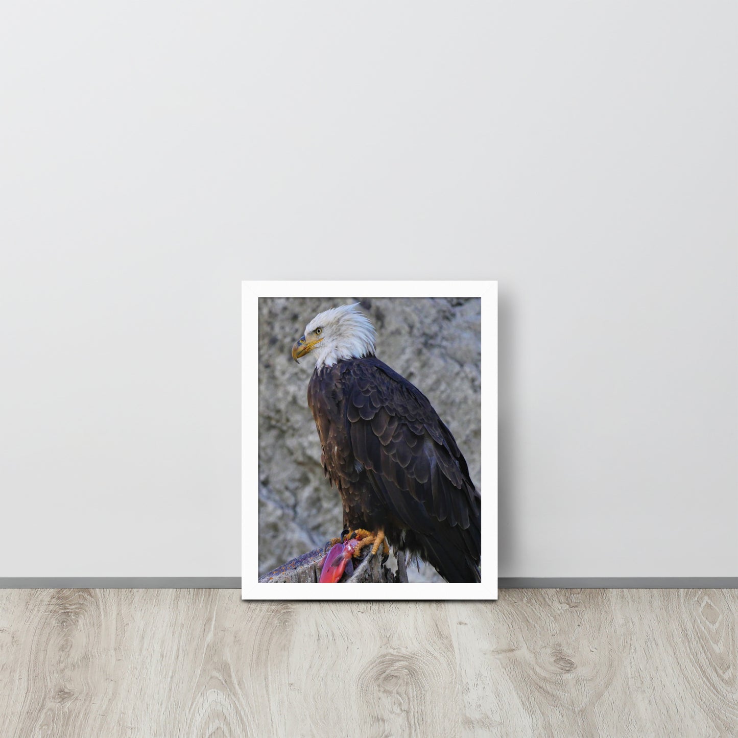 Bald Eagle Framed poster