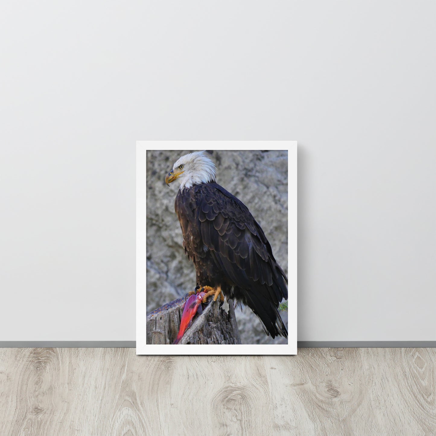Bald Eagle Framed poster
