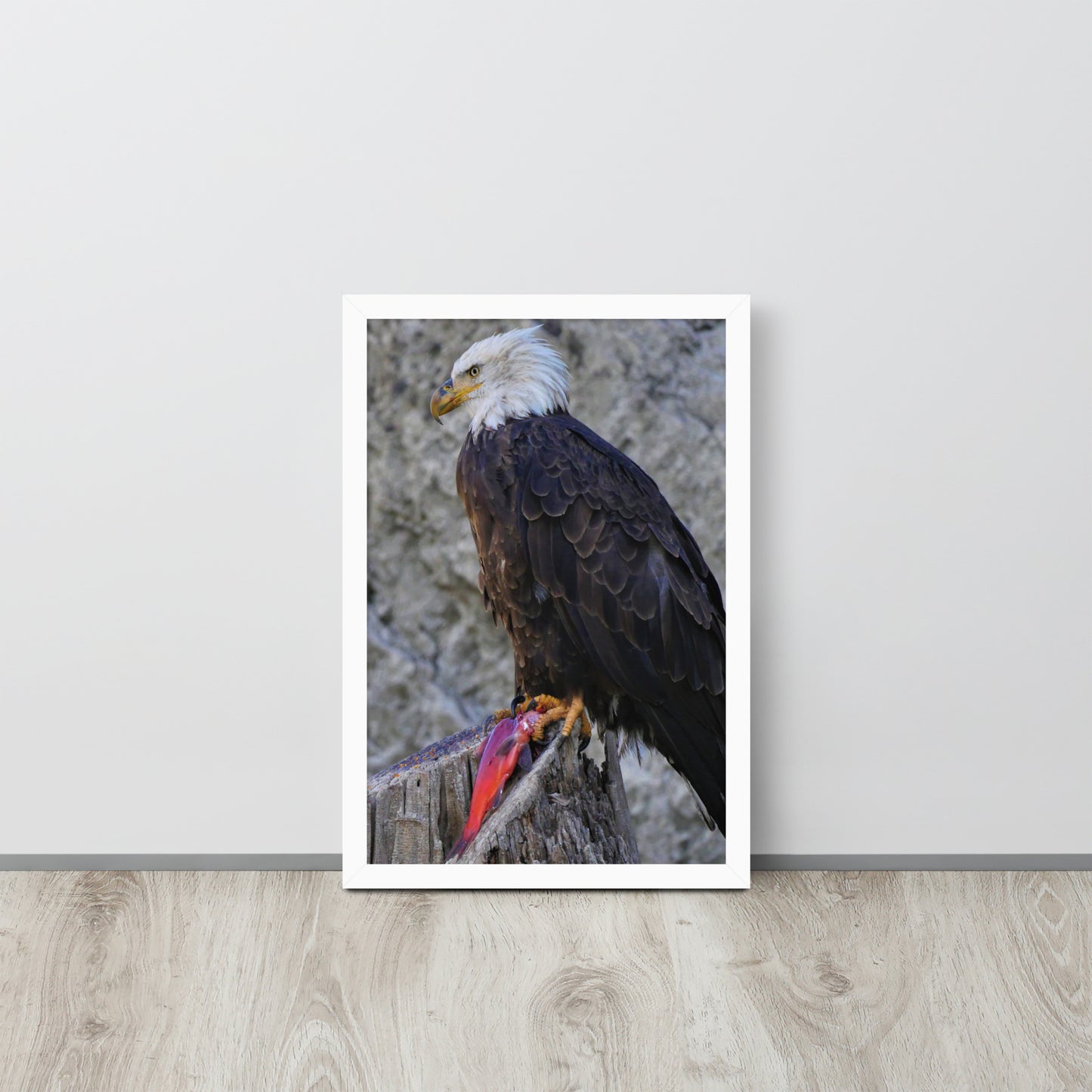 Bald Eagle Framed poster