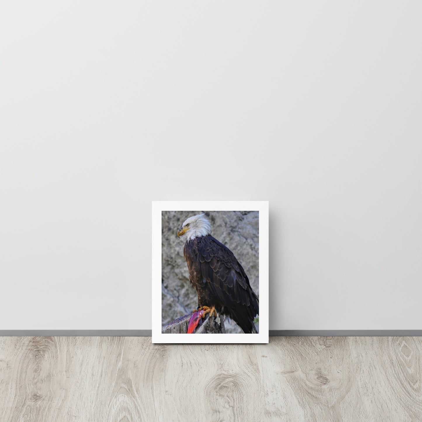 Bald Eagle Framed poster