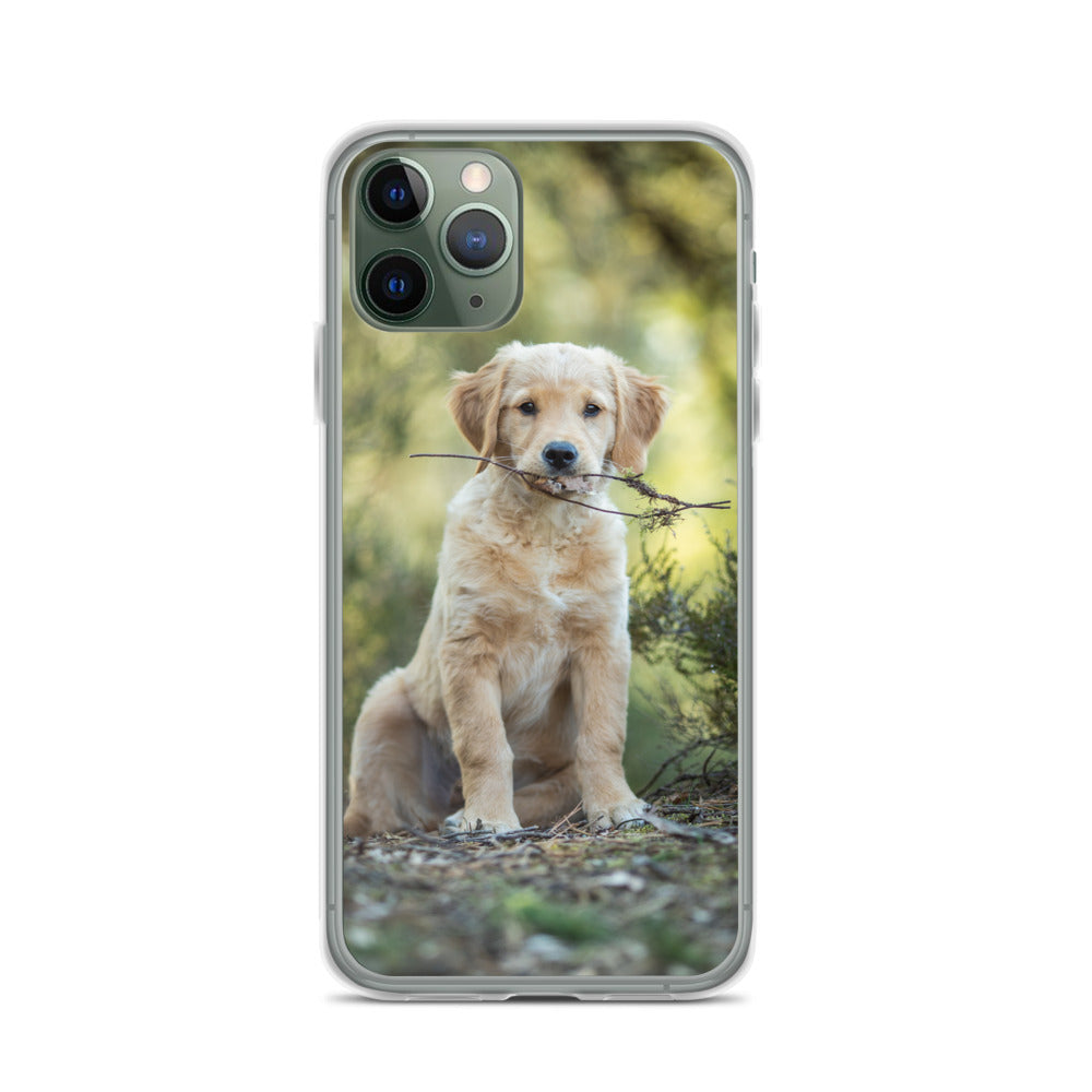 Dog'on Cute iPhone Case