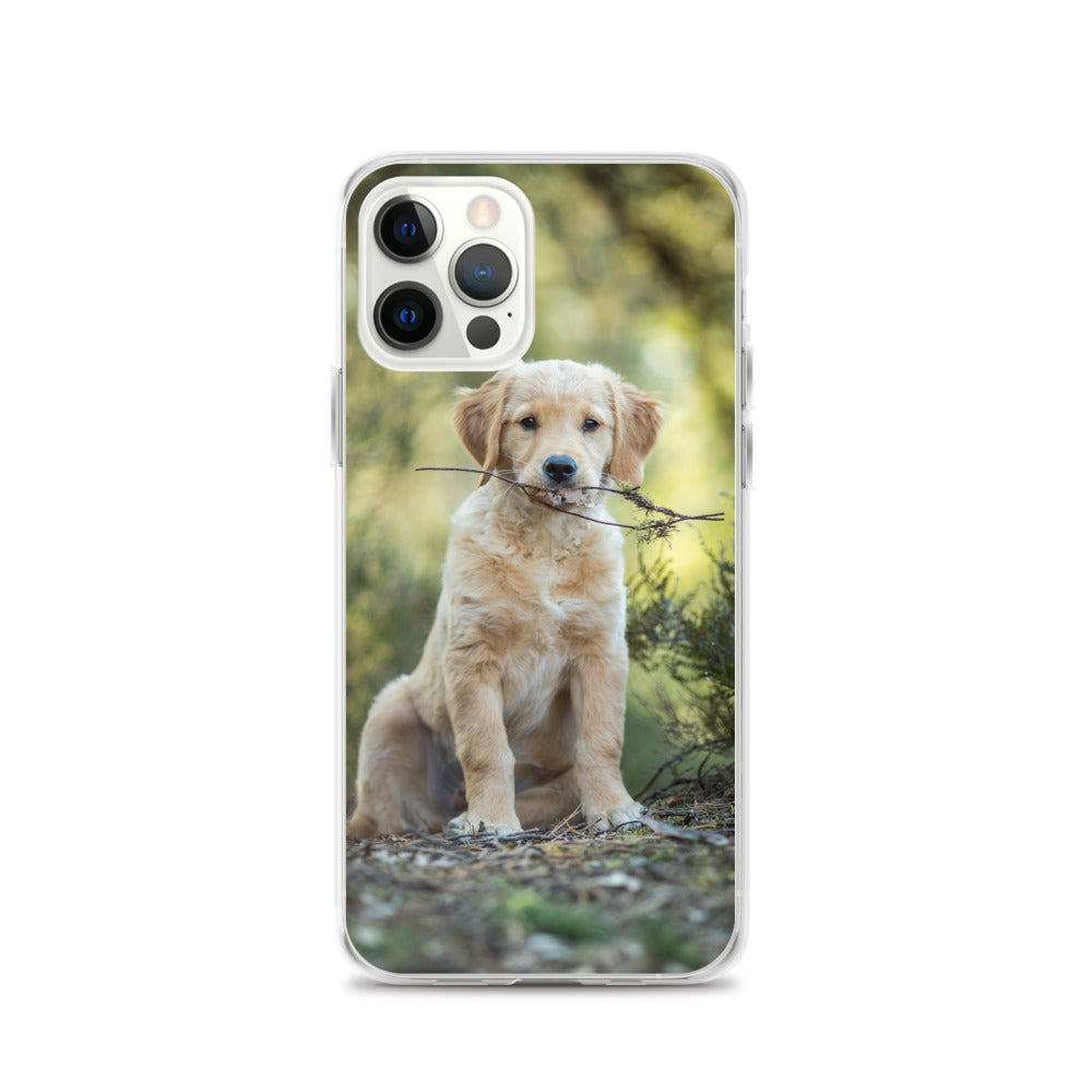 Dog'on Cute iPhone Case
