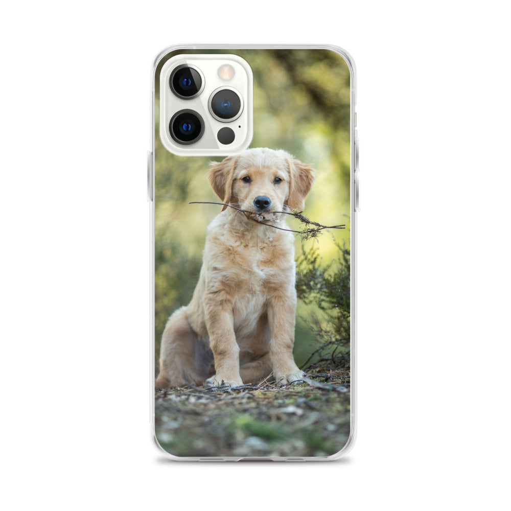 Dog'on Cute iPhone Case