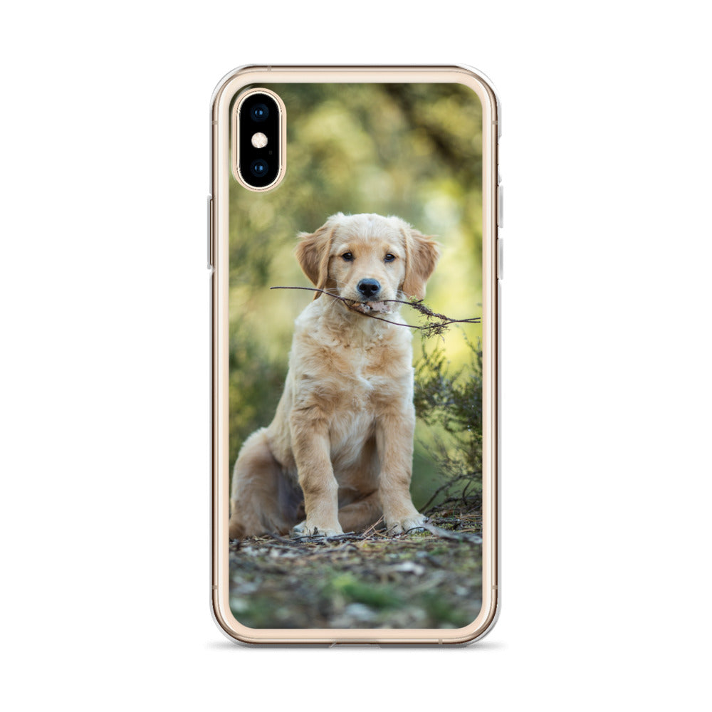 Dog'on Cute iPhone Case