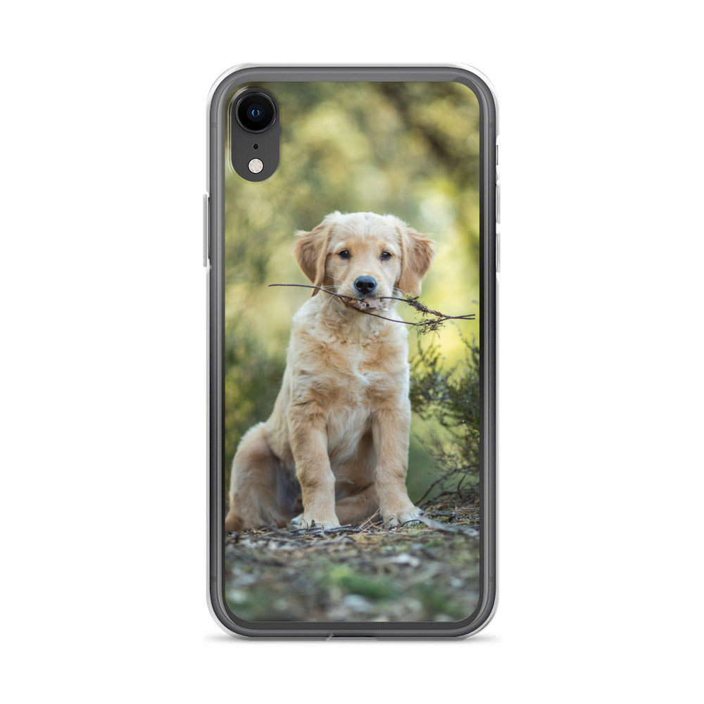 Dog'on Cute iPhone Case