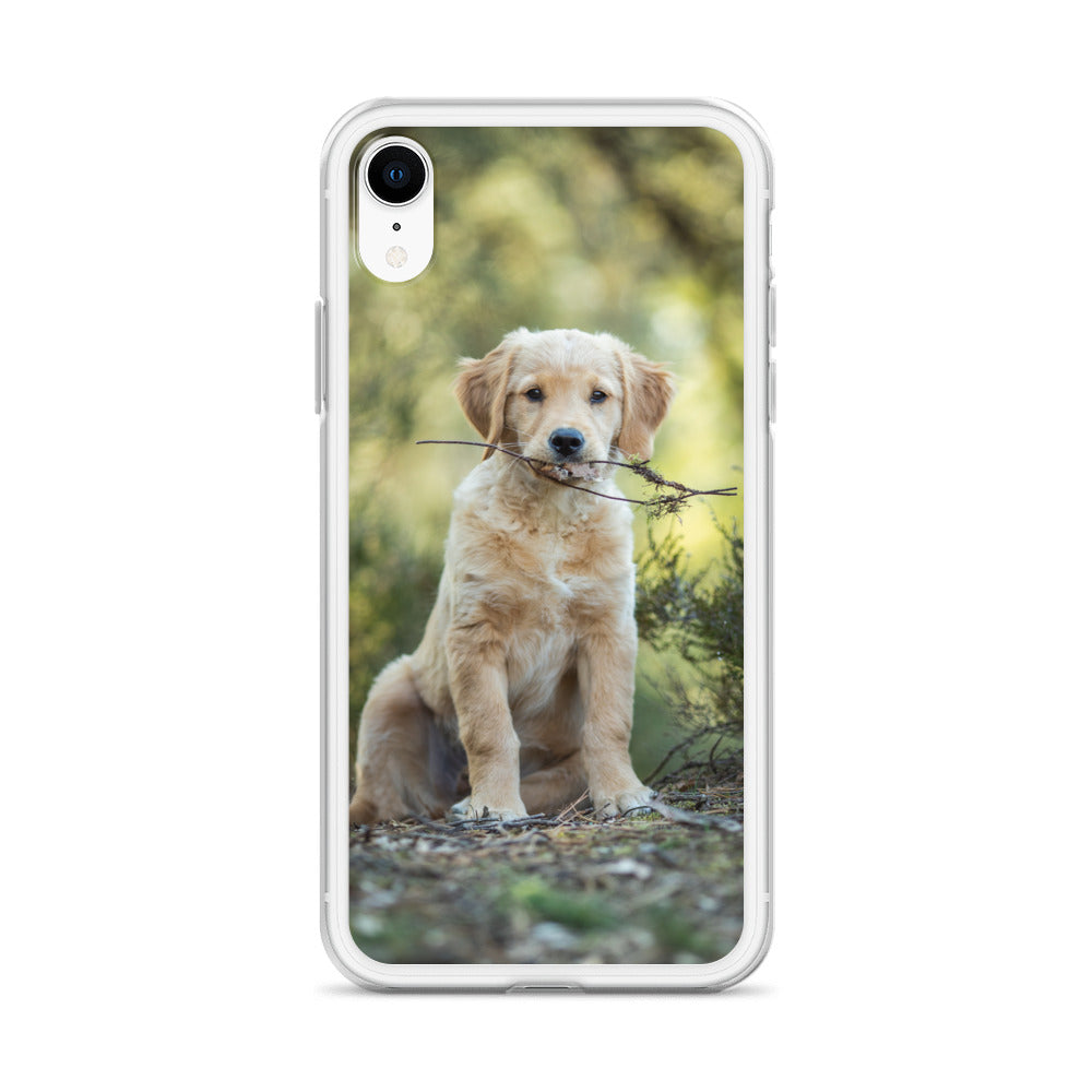 Dog'on Cute iPhone Case