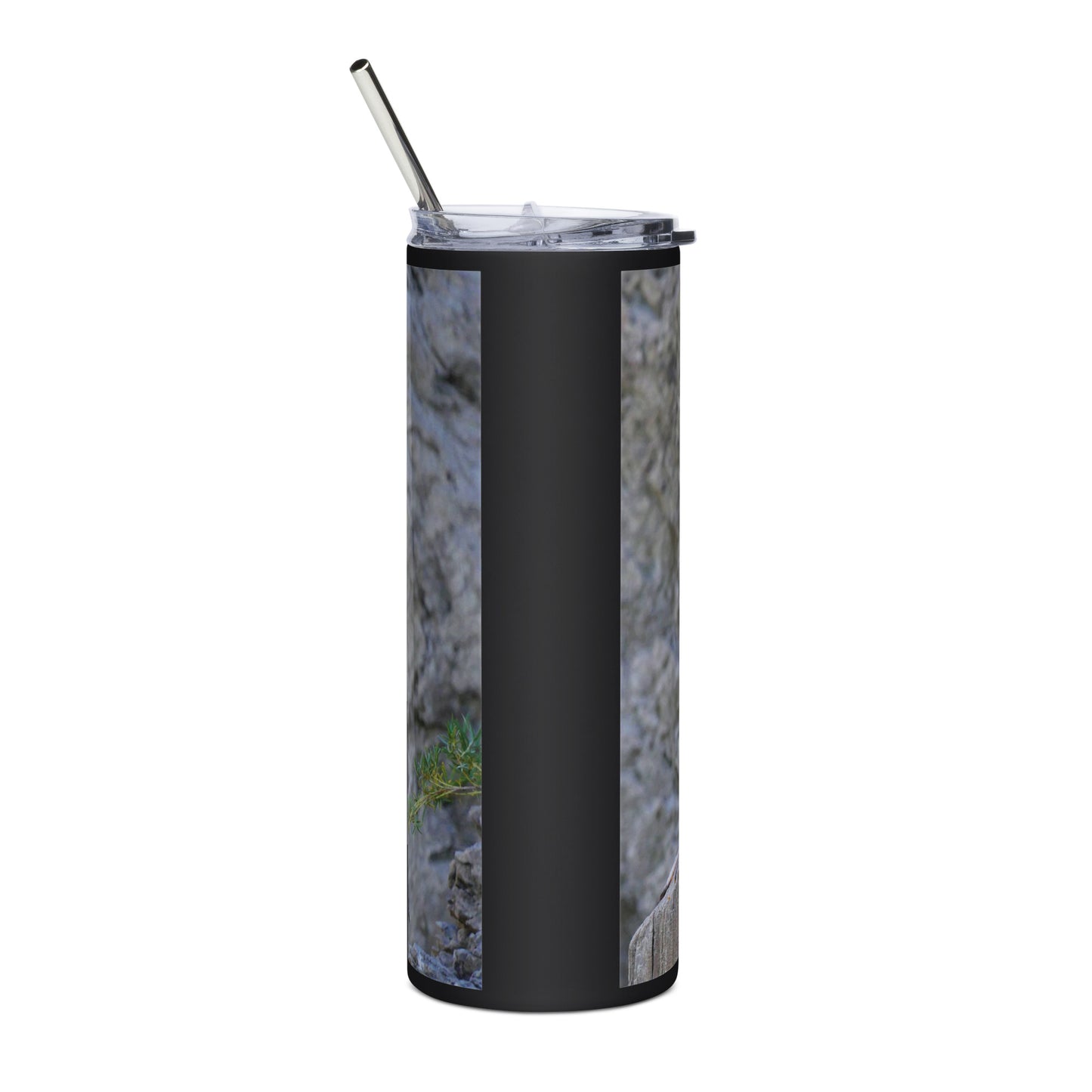 Stainless steel tumbler