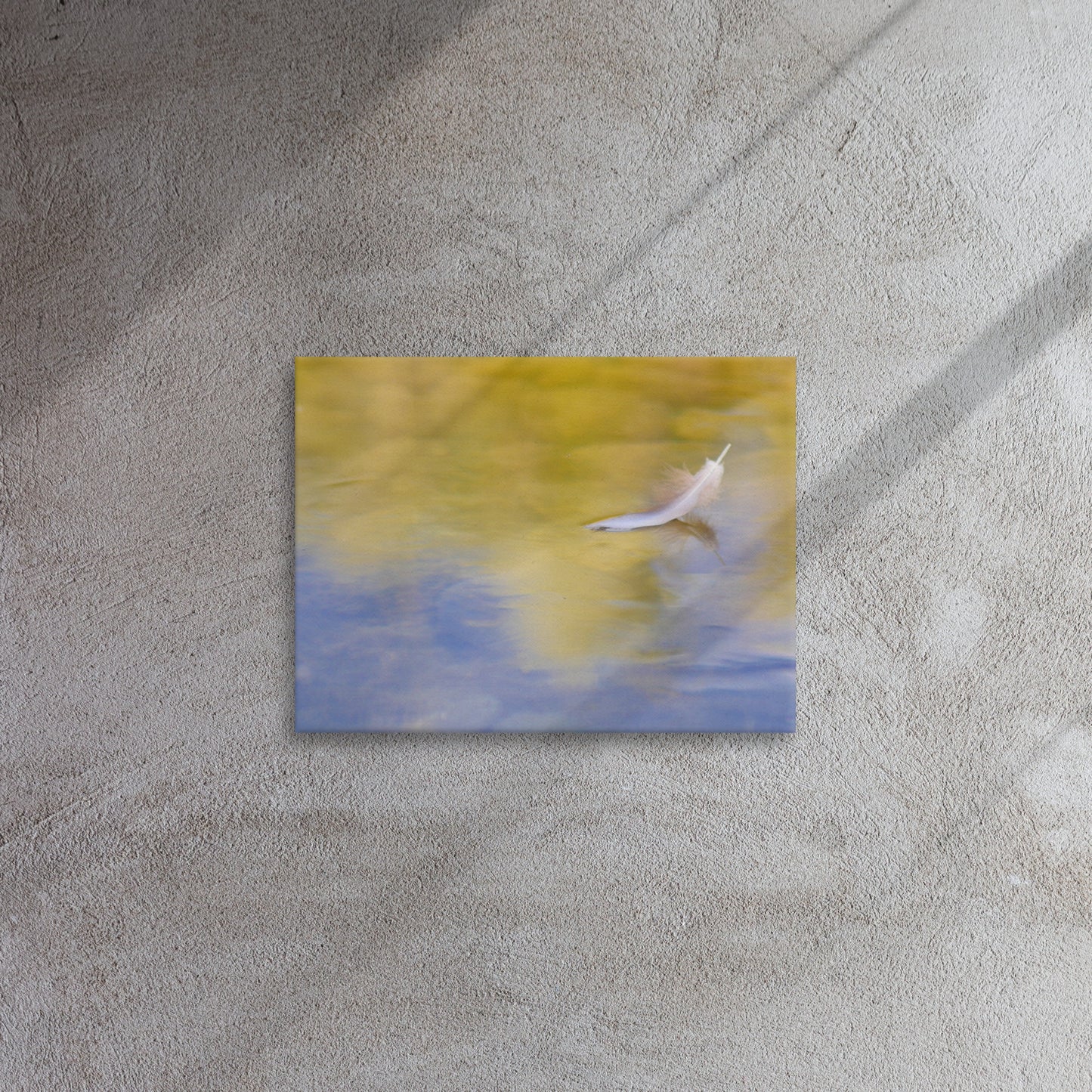 feather canvas