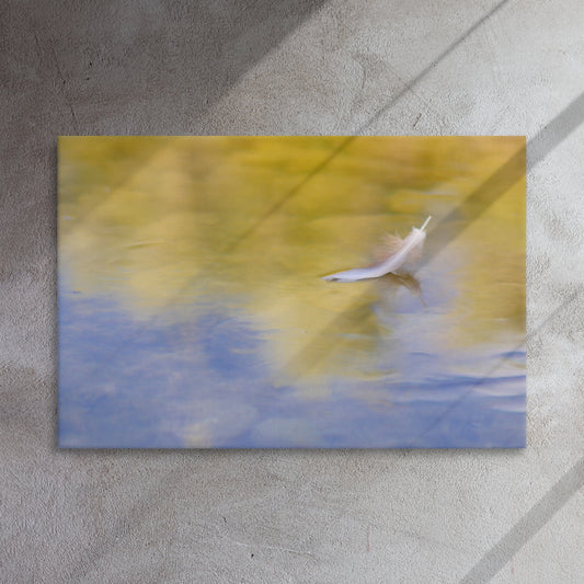 feather canvas