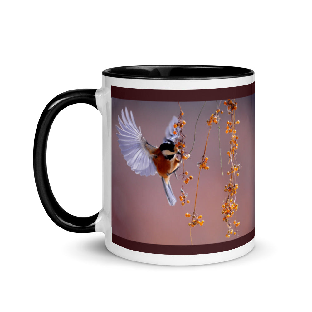 Beautifully Captured Bird Coffee Mug