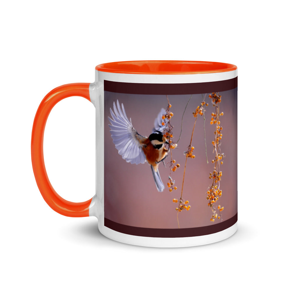 Beautifully Captured Bird Coffee Mug