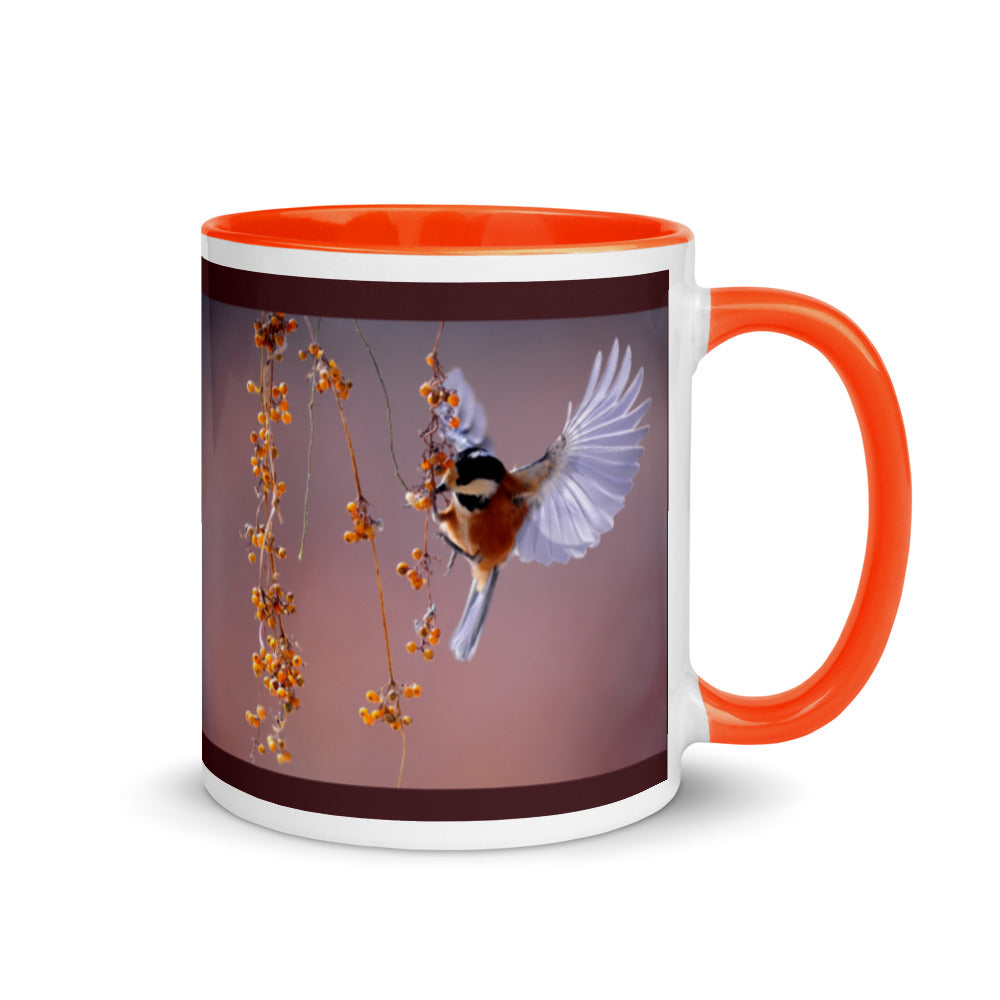 Beautifully Captured Bird Coffee Mug