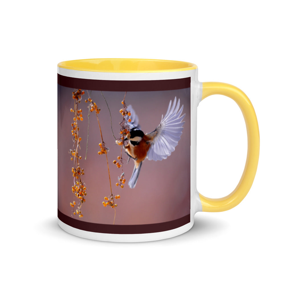 Beautifully Captured Bird Coffee Mug